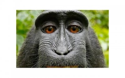 ​老婆坚持离婚我想挽回，如何挽回老婆，应对她坚持离婚的决心？