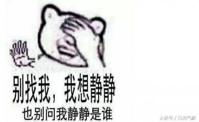 ​你快走，就留我在这大风中放纵吧！