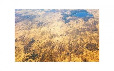 ​林宥嘉的老婆（林宥嘉老婆高龄产子）