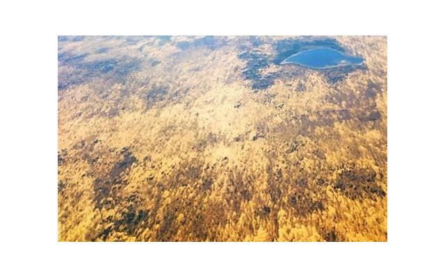 林宥嘉的老婆(林宥嘉老婆高龄产子) 林宥嘉的老婆(林宥嘉老婆高龄产子)