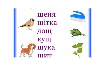 ​男方不可以提出离婚的法定情形有哪些