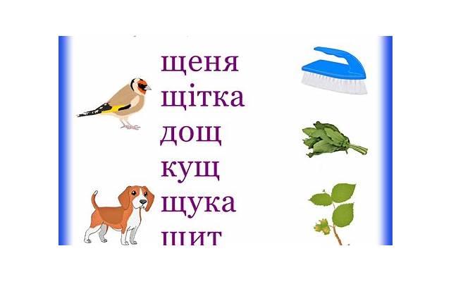 男方不可以提出离婚的法定情形有哪些