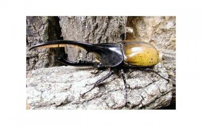 ​异地男朋友拒绝你去找他6个原因