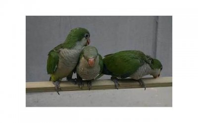 ​晚上我拿了男朋友攒了几年的血汗钱，敲开了情人的家门