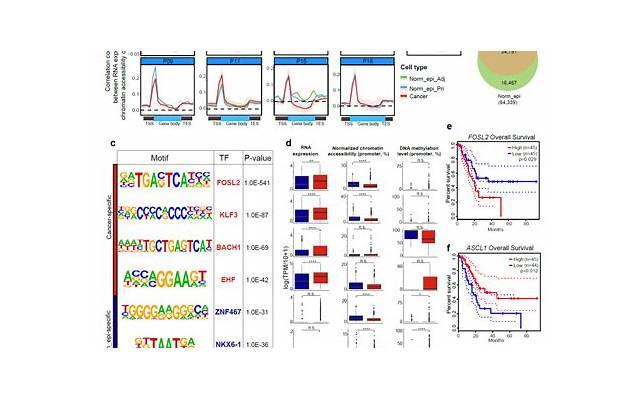 男生恋爱经验少的表现