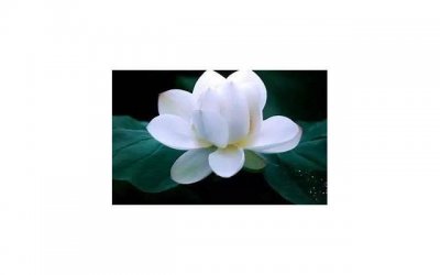 ​女生暗恋男生，这些细节你都知道吗？