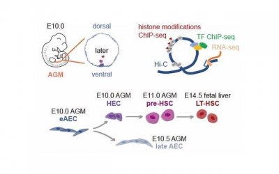 ​男生追你太心急的表现,被男生追多久可以答应？