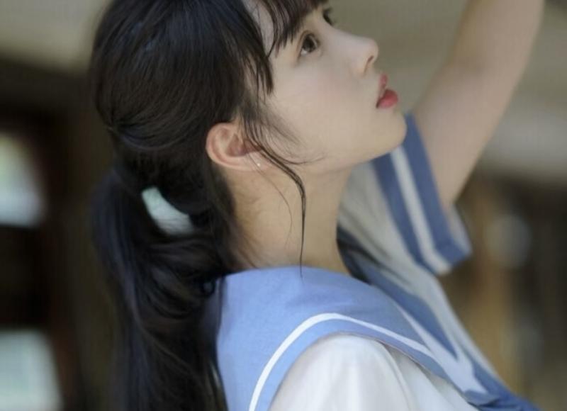 为什么老一辈讨厌宠物猫