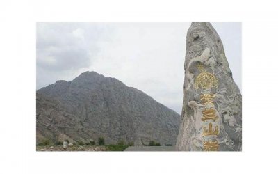 ​男性生zhi器为什么这么脆弱？哪些行为会让睾丸受伤