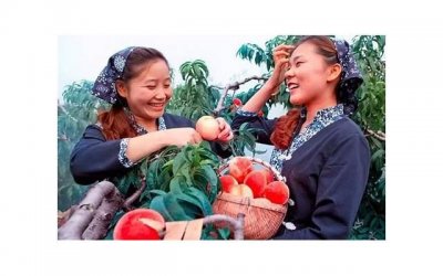 ​这样相处会很愉快 和男生初次约会的技巧