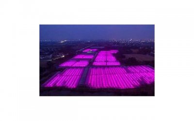 ​男朋友生日有什么惊喜策略 送什么礼物容易让男友感动