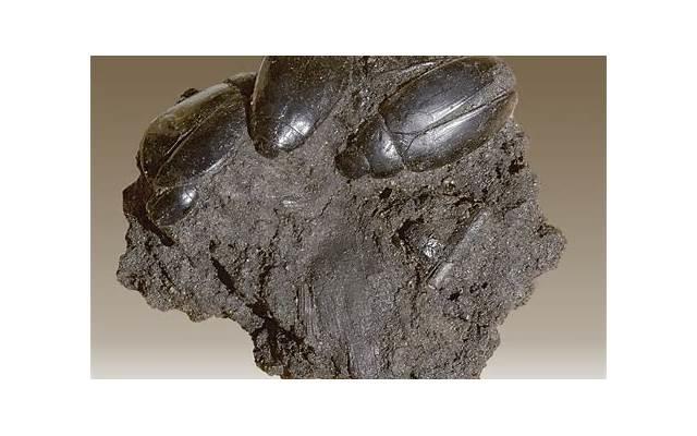 分手后关系缓和，如何挽回TA的心？