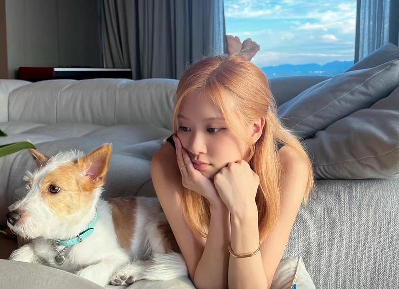 女孩问我喜欢什么类型的女生是什么意思？该如何回答？