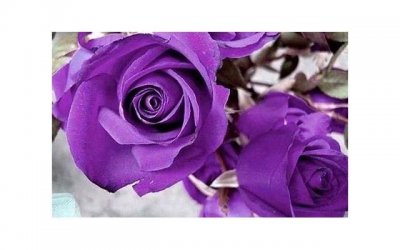 ​上法院起诉离婚需要什么手续怎么处理