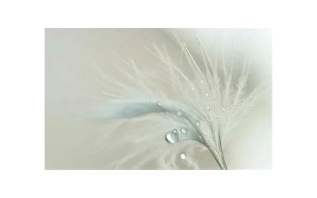 分享欲消失意味着什么，是感情变淡了吗