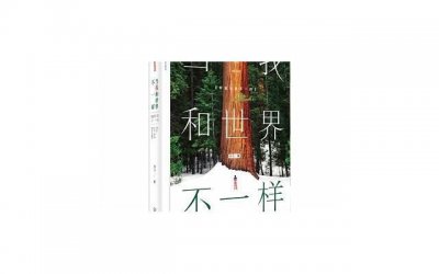 ​周伯通武功在什么水平（周伯通武功天下第一）