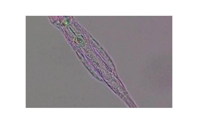 从绝望中寻找希望文