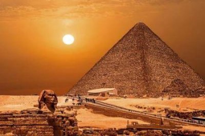 ​世界上最好的小狗 世界上最好的小狗是什么狗