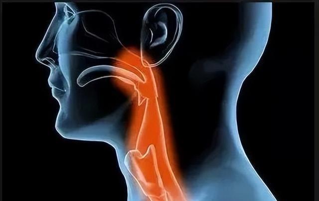 澳媒公布恐怖照片! 警告上厕所千万别碰这个， 狂喷致命病毒