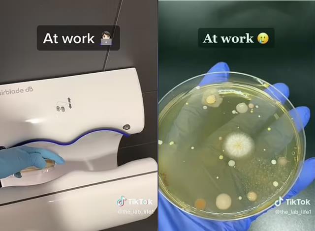 澳媒公布恐怖照片! 警告上厕所千万别碰这个， 狂喷致命病毒