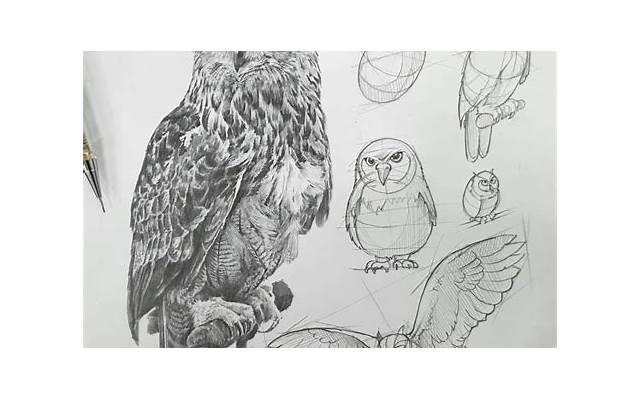 八月天有什么特点