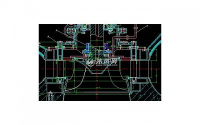 ​适合干养的几种花，想要养好控水很重要，不然过冬很困难
