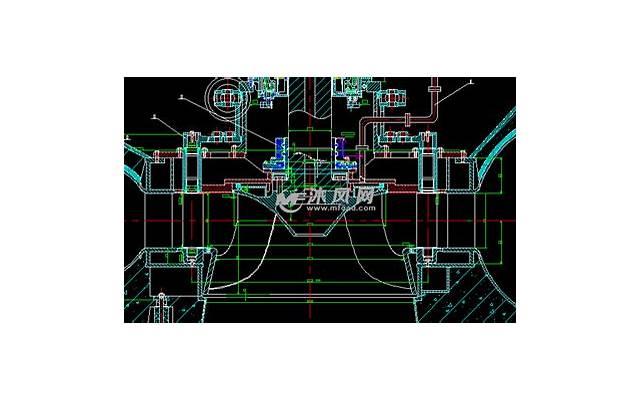 适合干养的几种花，想要养好控水很重要，不然过冬很困难
