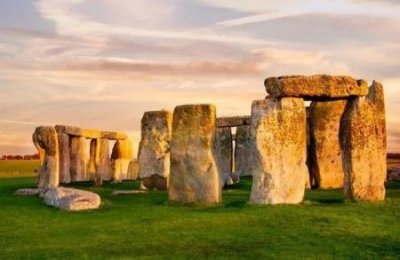 ​它们是世界上最大的孤独！ 解读 附演化简史图