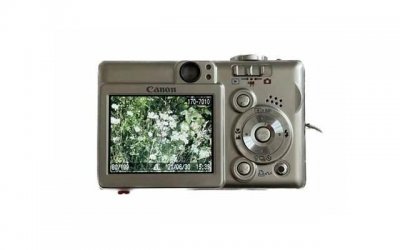 ​十年后什么最保值（未来这两样东西最保值）