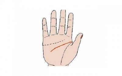 ​双鱼座是好人还是坏人 双鱼座可不是什么好人