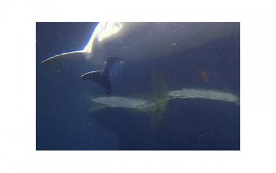 ​吵架吵的绝望了有什么办法挽回