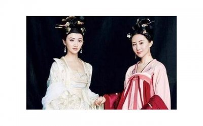 ​9朵粉玫瑰和满天星搭配（代表小三的花是什么花）