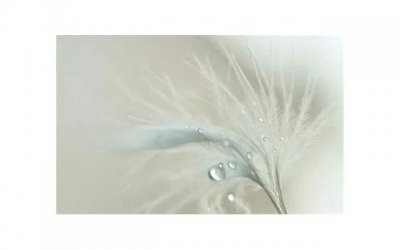 ​一般女教师喜欢聊什么话题