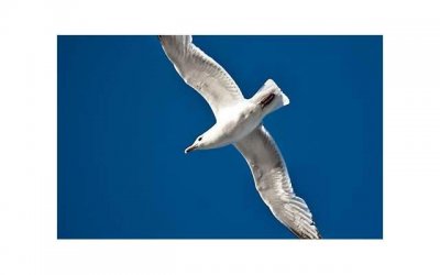 ​初次申请信用卡有什么技巧？