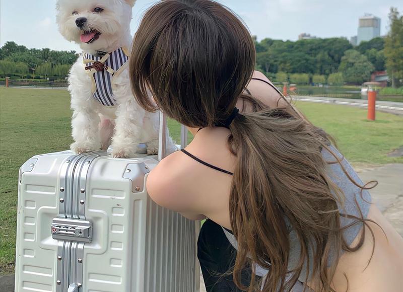 和艾滋病人可以结婚吗