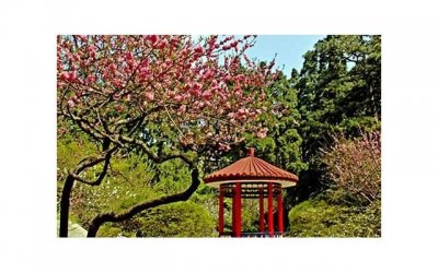 ​射手座最可怕的一面,射手座女生性格特点