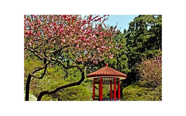 射手座最可怕的一面,射手座女生性格特点