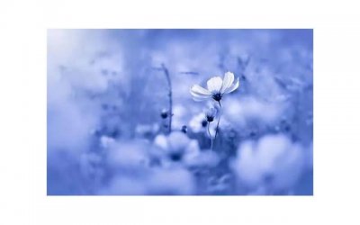 ​女生一般喜欢什么颜色的口红