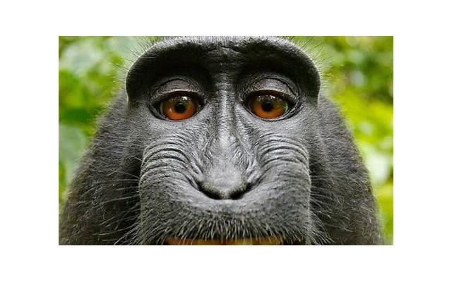  女生默许你追她的暗号（女生允许你追才会有的暗示）