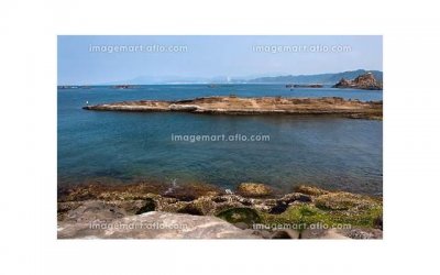 ​下辈子让我爱你好吗？