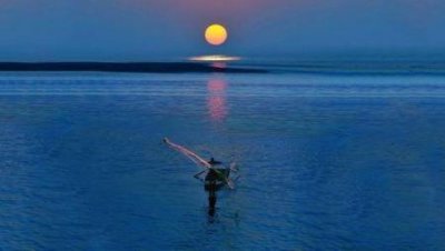 ​关于彭宇案事件经过的信息