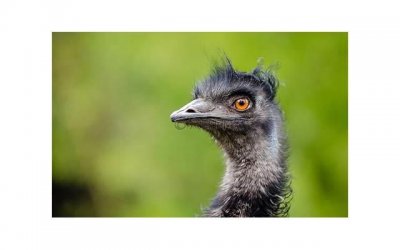 ​儿子结婚父亲上台发言稿