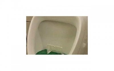 ​女朋友和女性朋友的区别字面意思