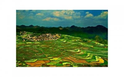 ​结婚二十一年是什么婚