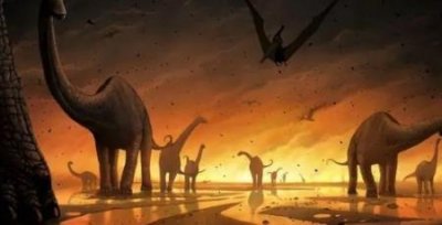 ​弃械龙：恐龙世界中的罕见品种经常被大恐龙欺负