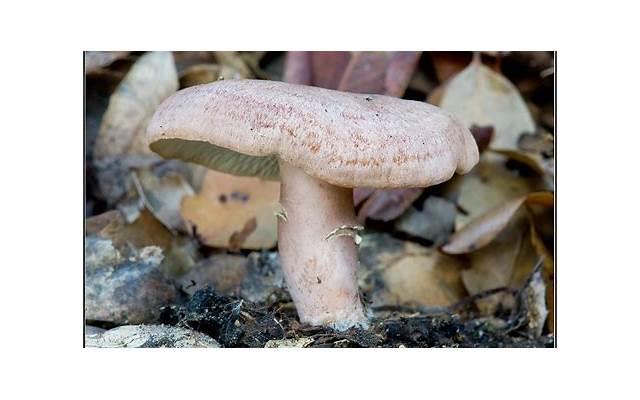 经典情感个性签名 句句经典入心