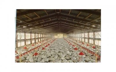 ​性爱后疲劳是怎么回事？