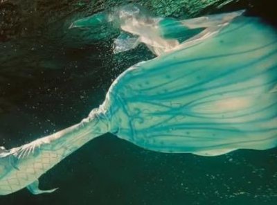 ​地球上有美人鱼美人鱼真容长满鳞片让人过目不忘