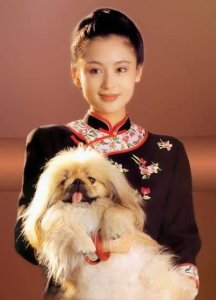 ​不懂陈红为什么看上陈凯歌这个千年谜题，总算是解开了