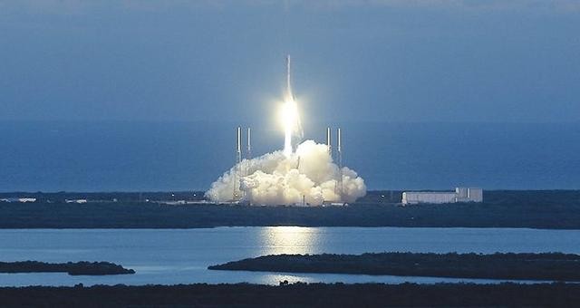 世界上第1个登上太空的动物（盘点离开地球进入太空的那些动物）(3)